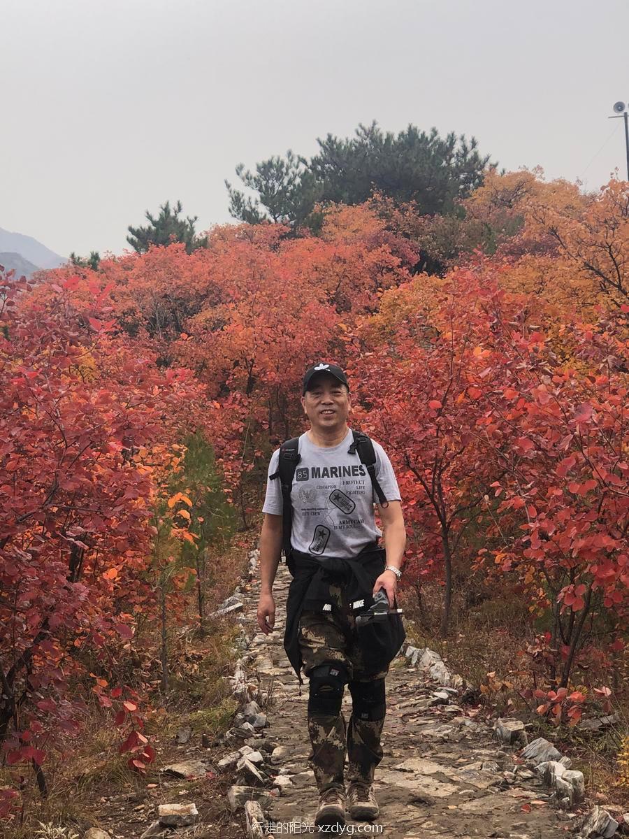 mmexport1572846613482