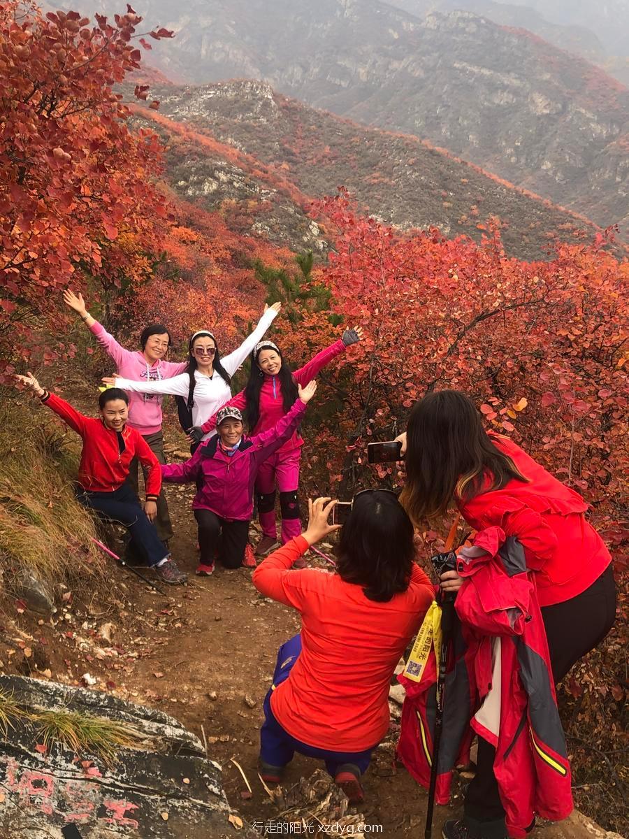 mmexport1572846603004