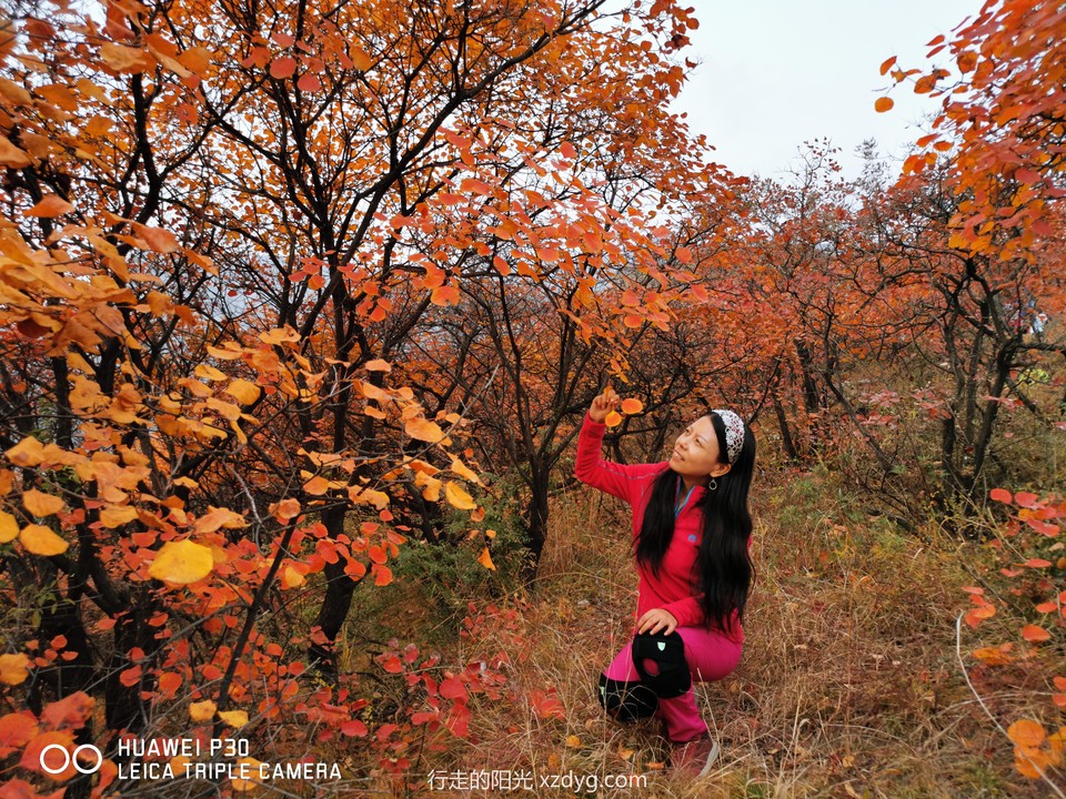 mmexport1572848665983