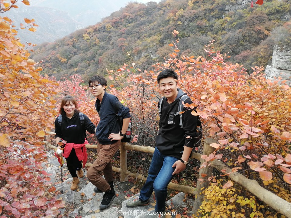 mmexport1572848689212