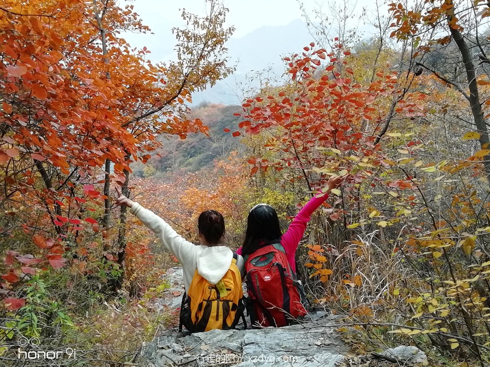 mmexport1572848703814