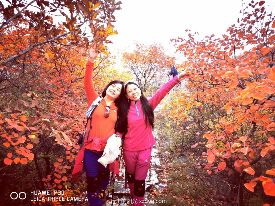 mmexport1572848723226