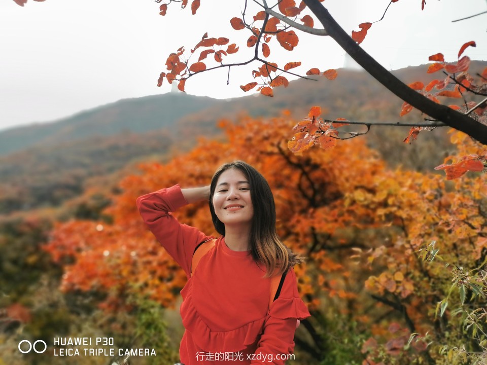 mmexport1572848785177