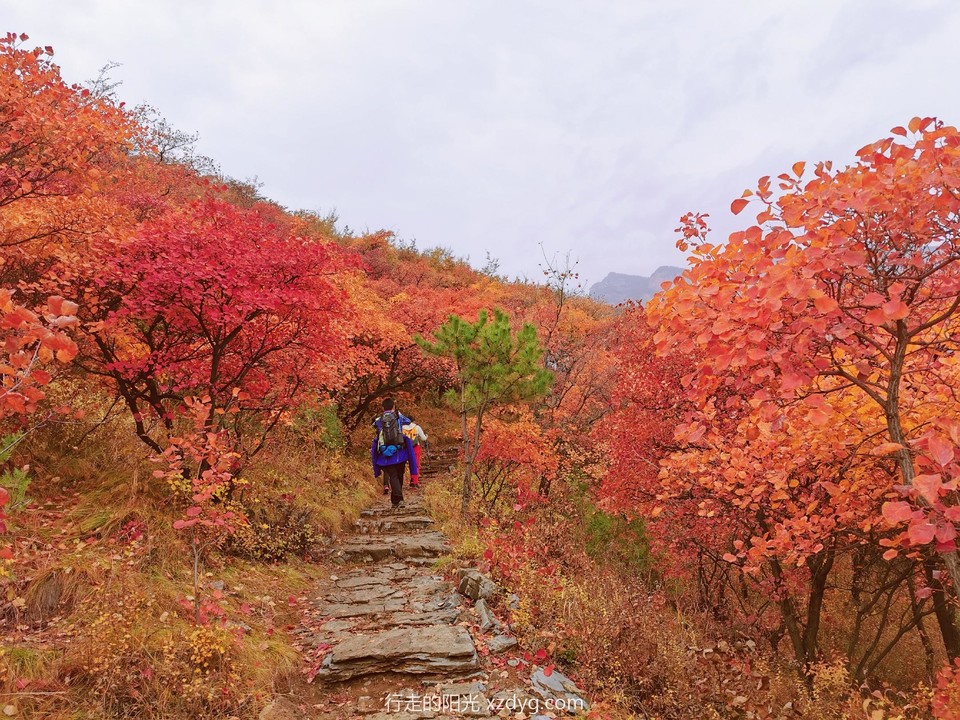 mmexport1572848823544