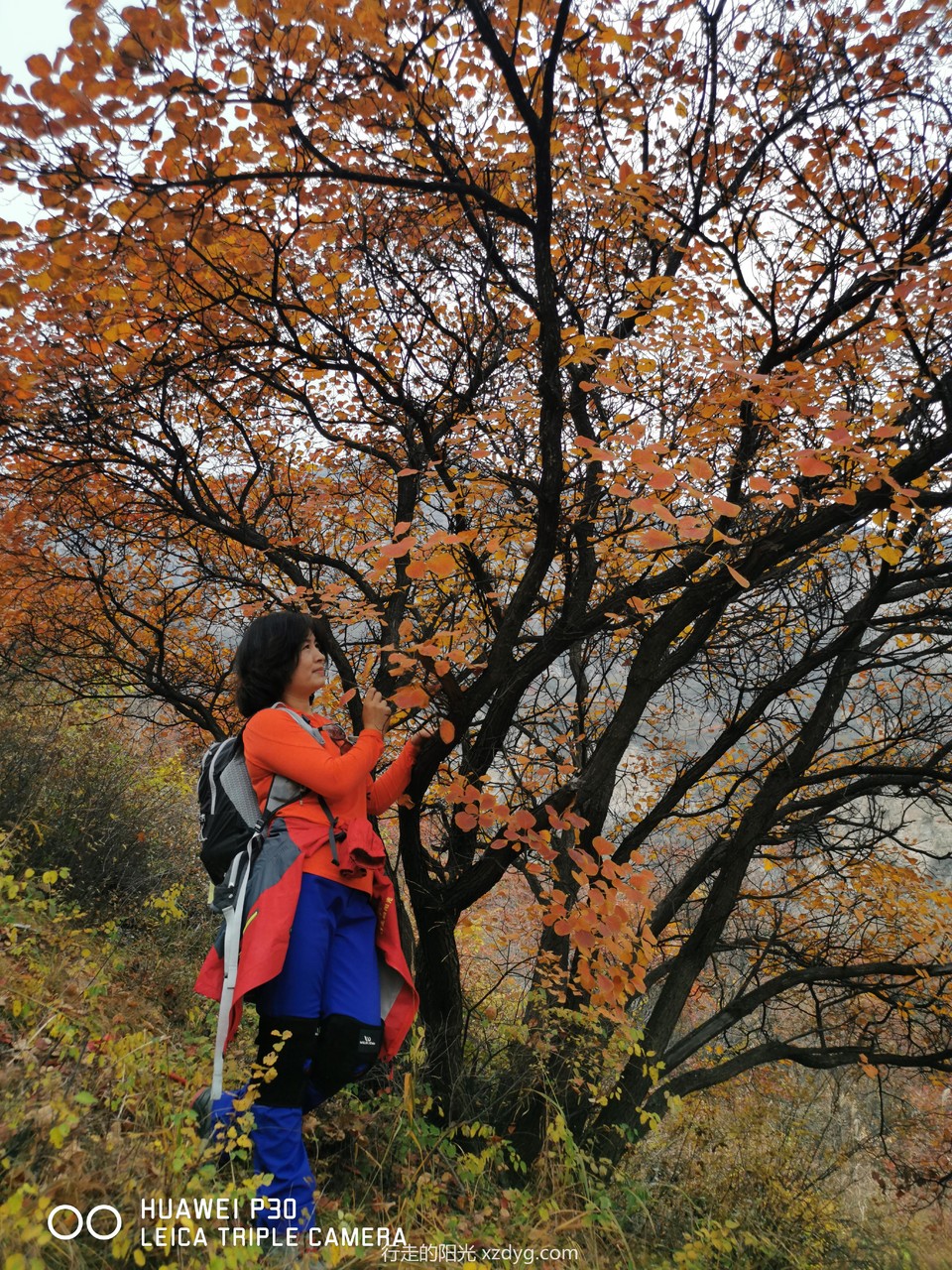 mmexport1572848854185