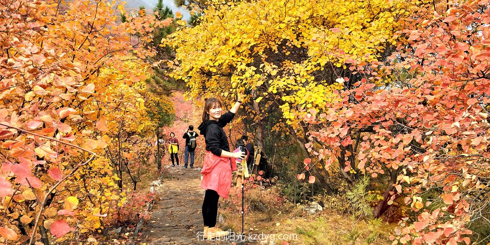 mmexport1572848942202