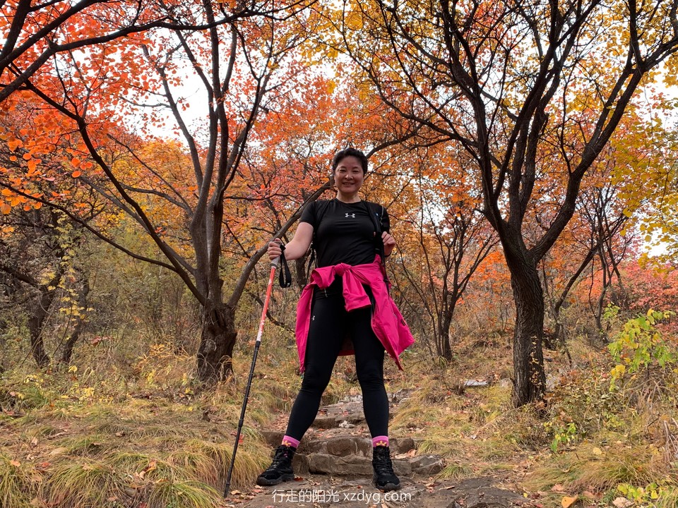 mmexport1572849017904