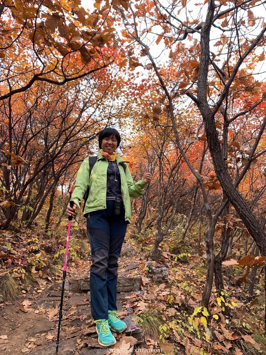 mmexport1572848977388