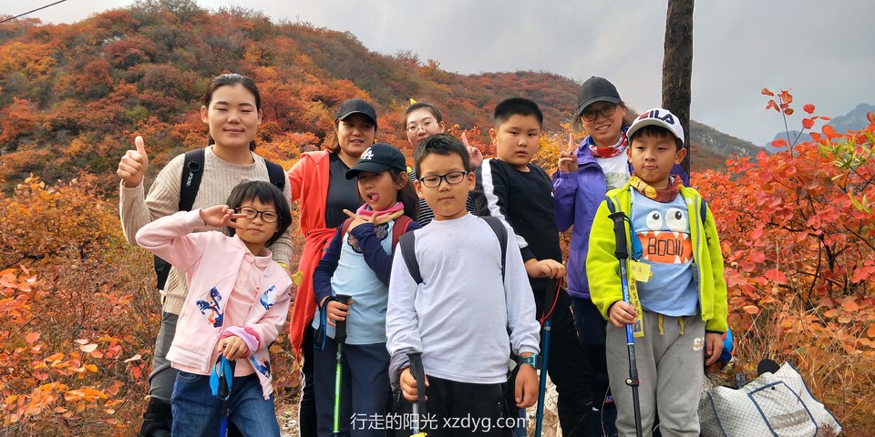 mmexport1572849095472