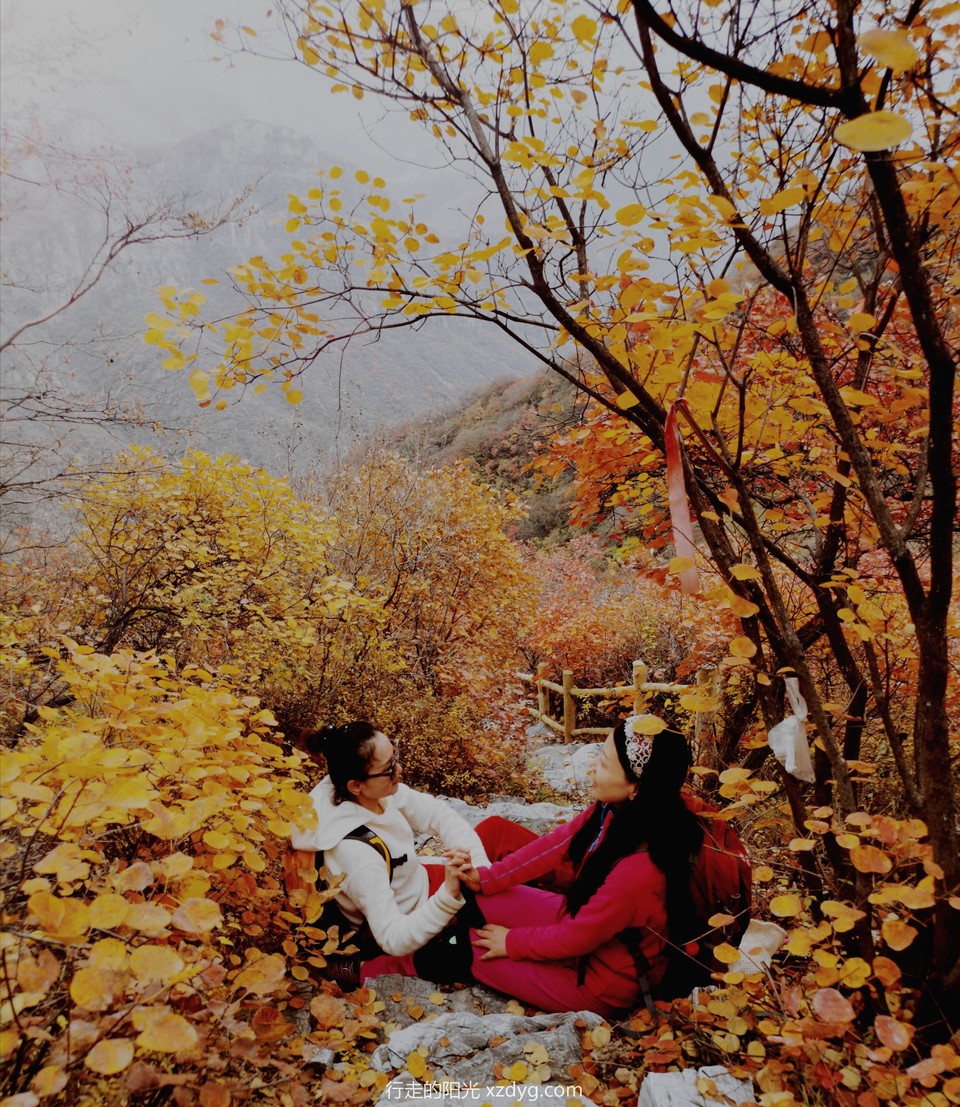 mmexport1572849169553