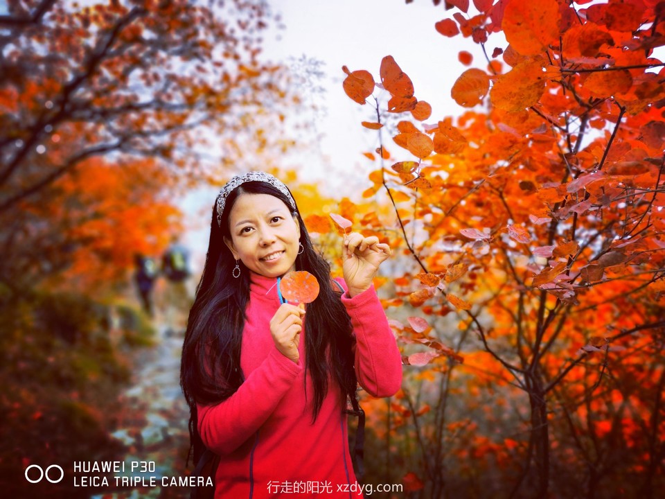 mmexport1572849197260