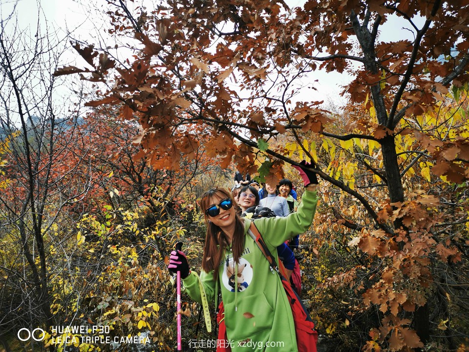 mmexport1572849474453