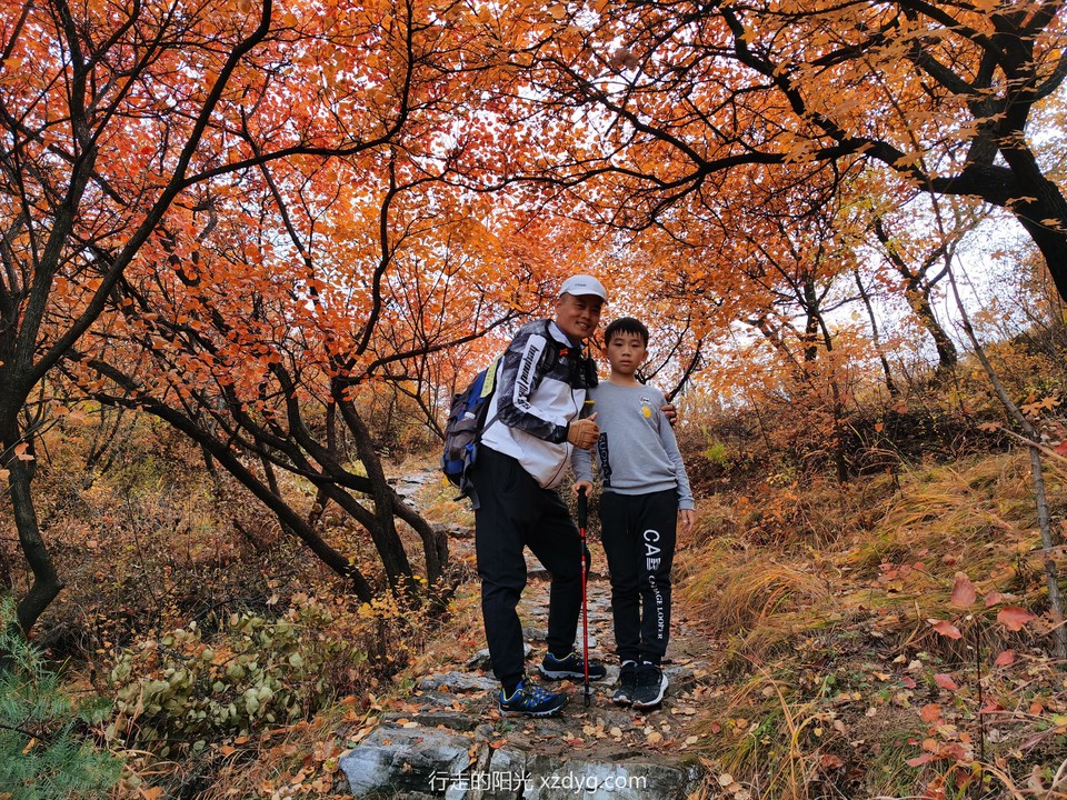 mmexport1572849536308