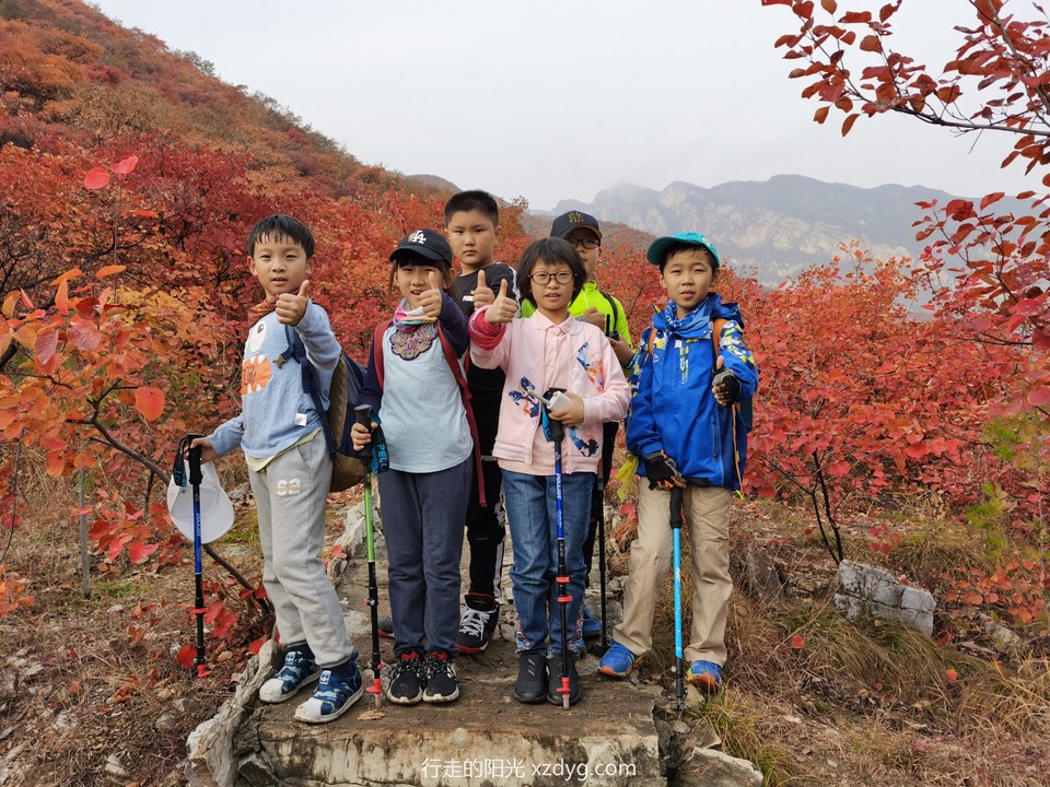 mmexport1572849561397