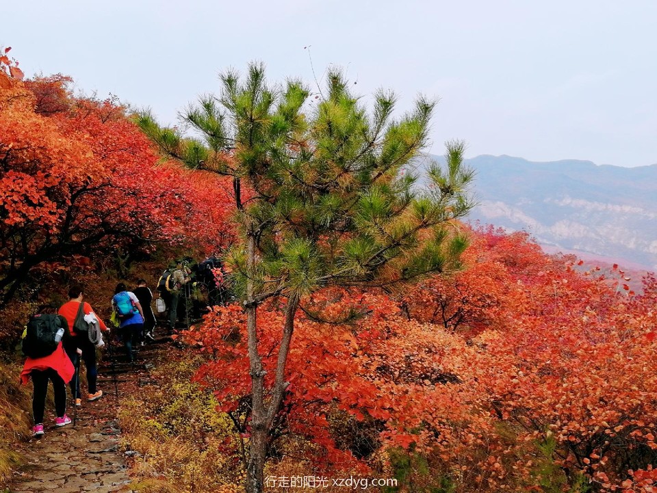 mmexport1572849632912