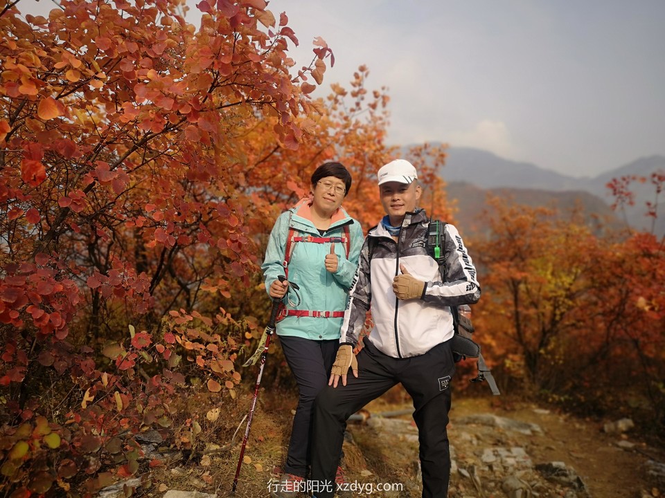 mmexport1572849880764