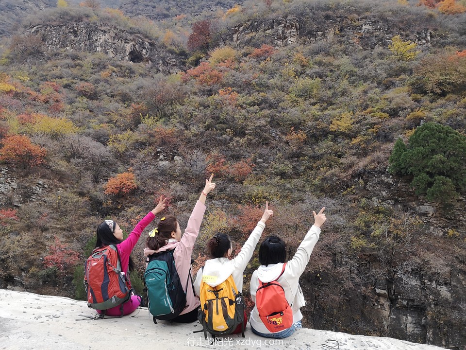 mmexport1572849897383