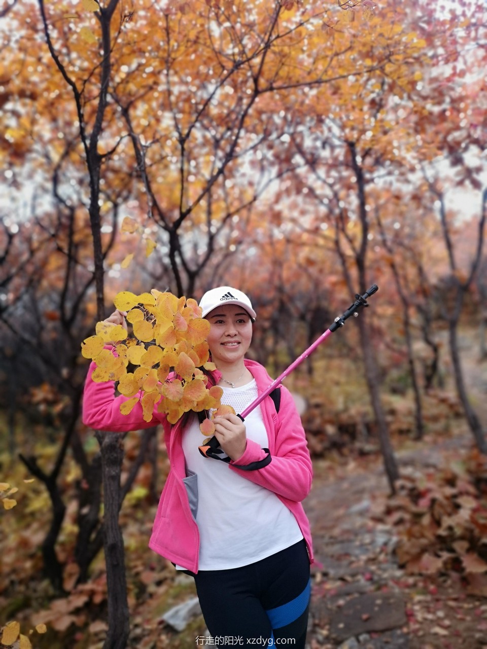 mmexport1572849957961