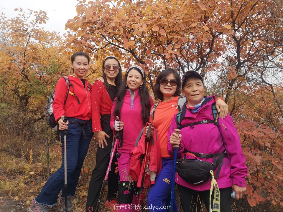 mmexport1572849982358