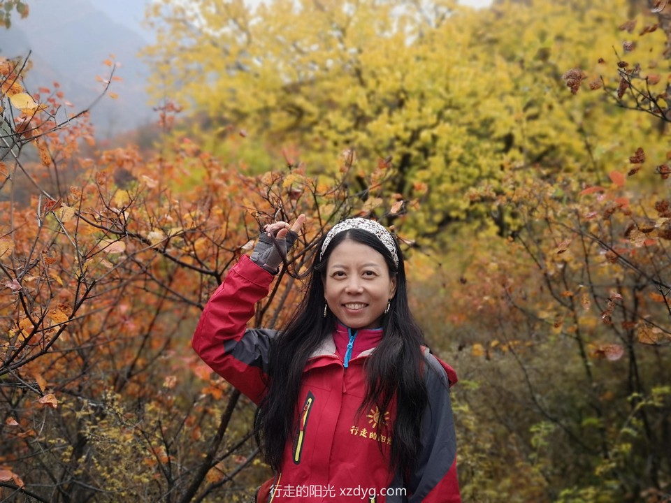 mmexport1572850052490