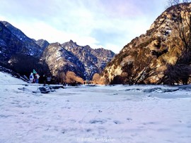 mmexport1645267491690_edit_264689267743463