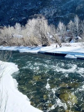 mmexport1645355642164_edit_305272579093521