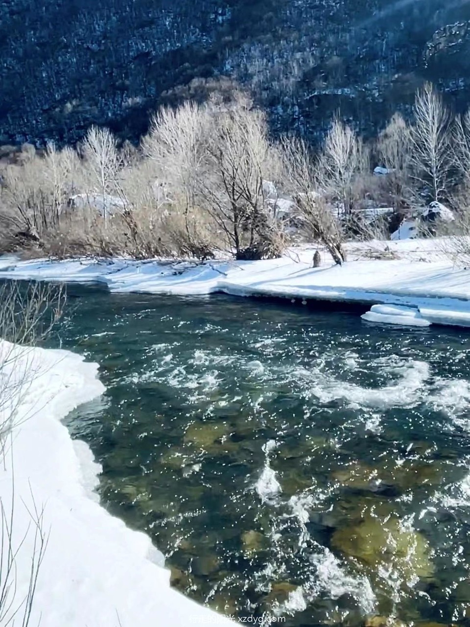 mmexport1645355642164_edit_305272579093521