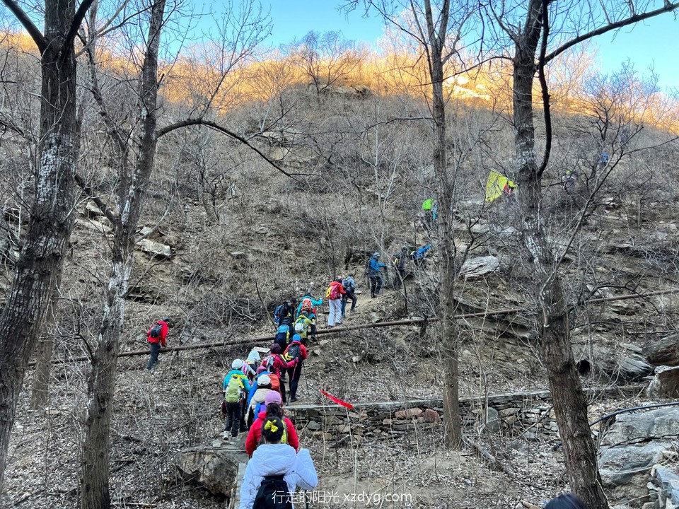 mmexport1645919425464_edit_549792368744751