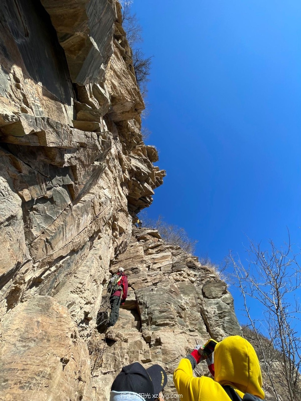 mmexport1646656378246_edit_143067010045356