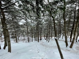 mmexport1647735647425_edit_639125998637892