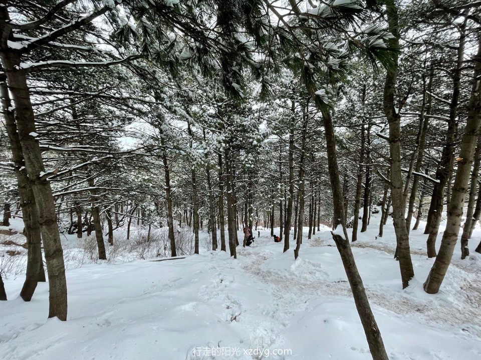 mmexport1647735647425_edit_639125998637892