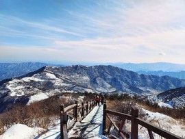 mmexport1647735404565_edit_639196627961839