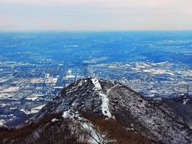 mmexport1647735398846_edit_639216343891003