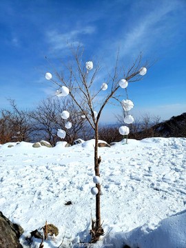 mmexport1647869141171_edit_724856798266997