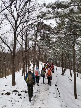 mmexport1647869081032_edit_724869287521682