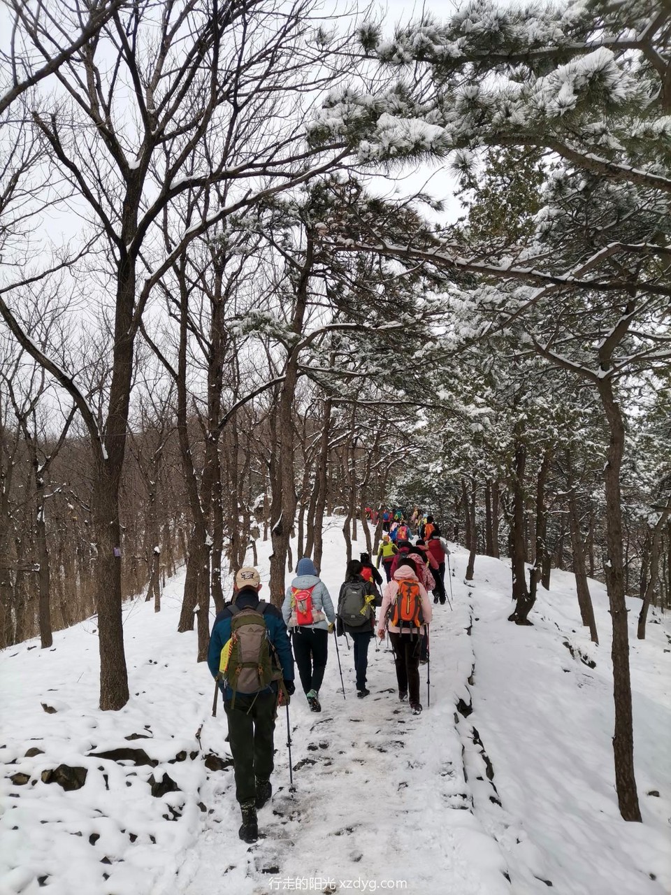 mmexport1647869081032_edit_724869287521682