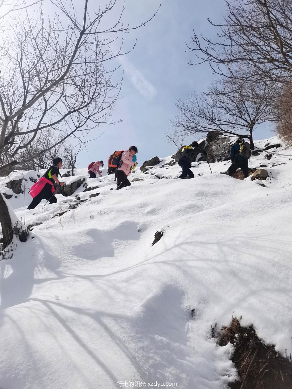 mmexport1647869047721_edit_724897265276886