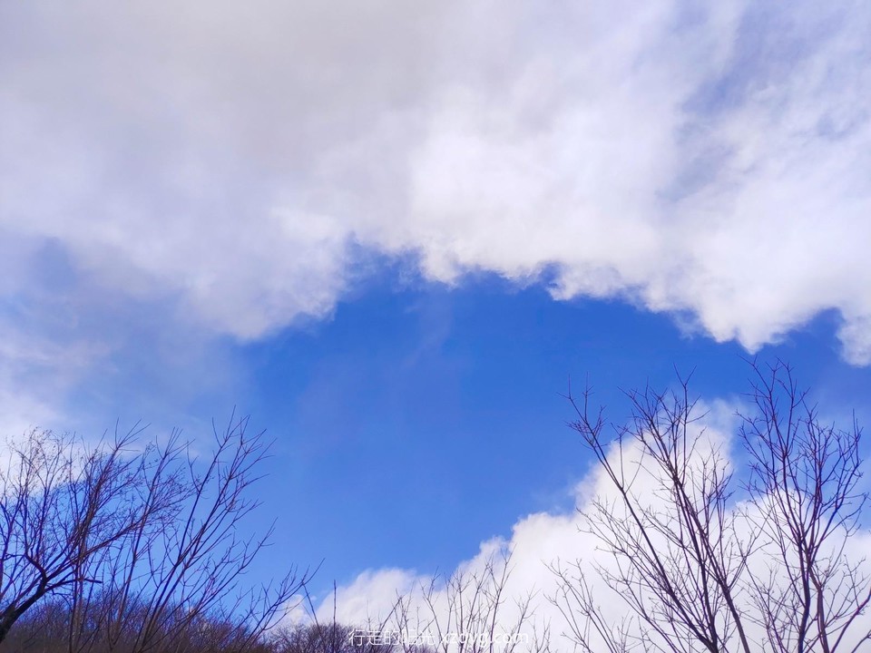 mmexport1648340823618_edit_968295098615788