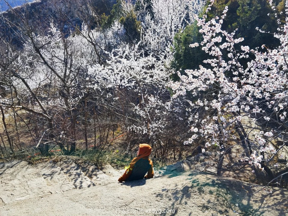 IMG_20220327_152606_edit_987383245963917