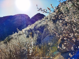 IMG_20220327_153658_edit_987344216189965