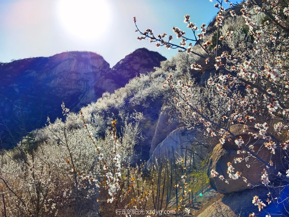 IMG_20220327_153658_edit_987344216189965