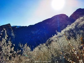 IMG_20220327_153701_edit_987331851190487