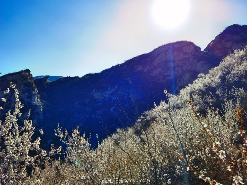 IMG_20220327_153701_edit_987331851190487