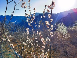 IMG_20220327_162125_edit_987281004323308