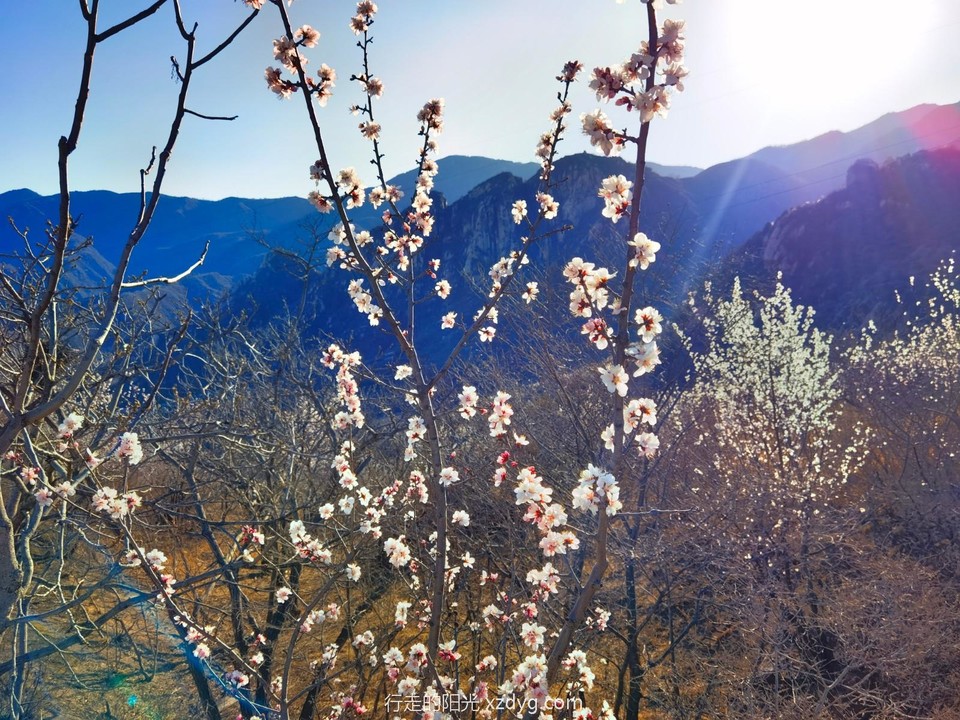 IMG_20220327_162125_edit_987281004323308