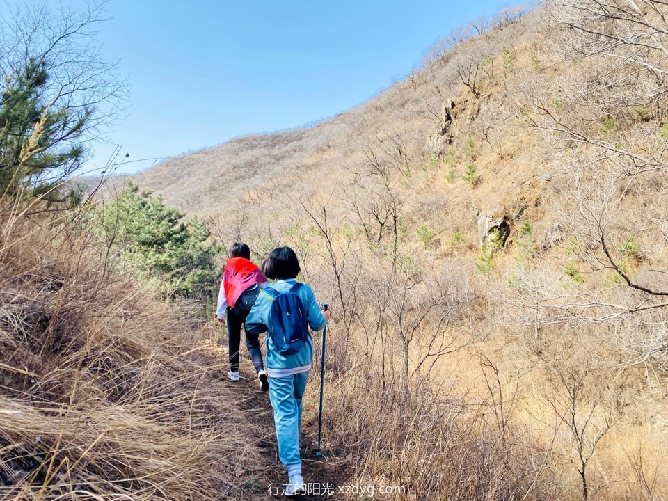 mmexport1648341194694_edit_968470908553261