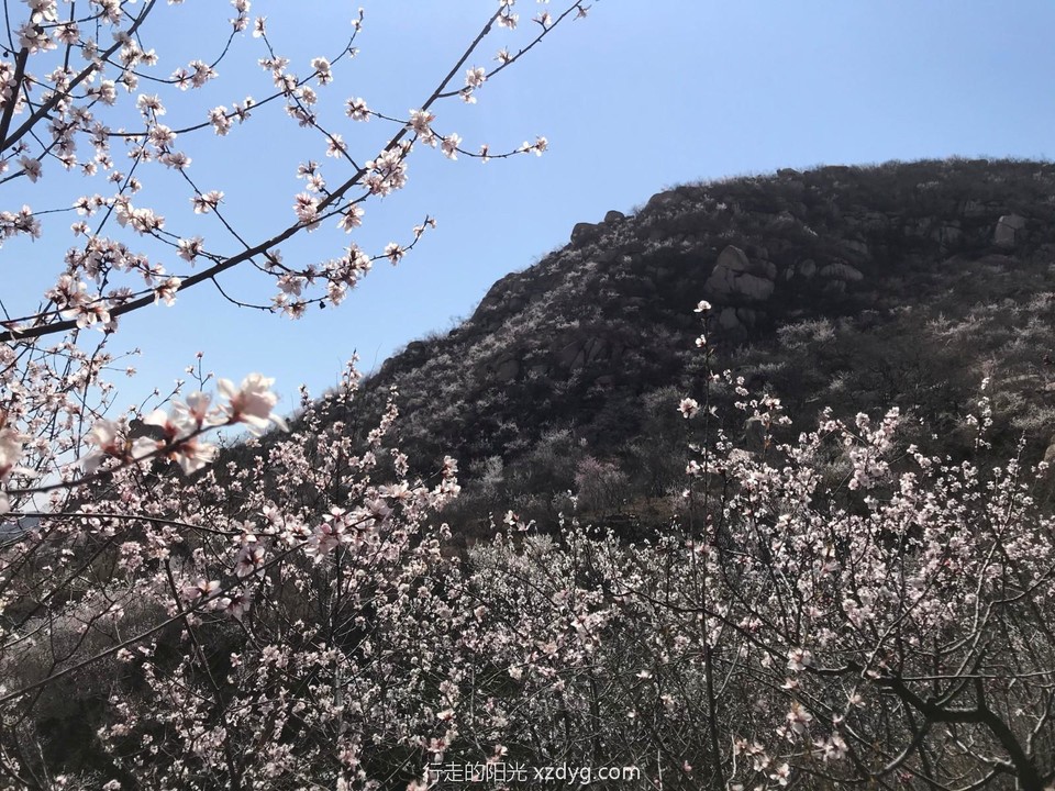 mmexport1649032836225_edit_87710051413699