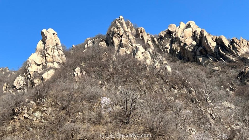 mmexport1649032875944_edit_87702913487658