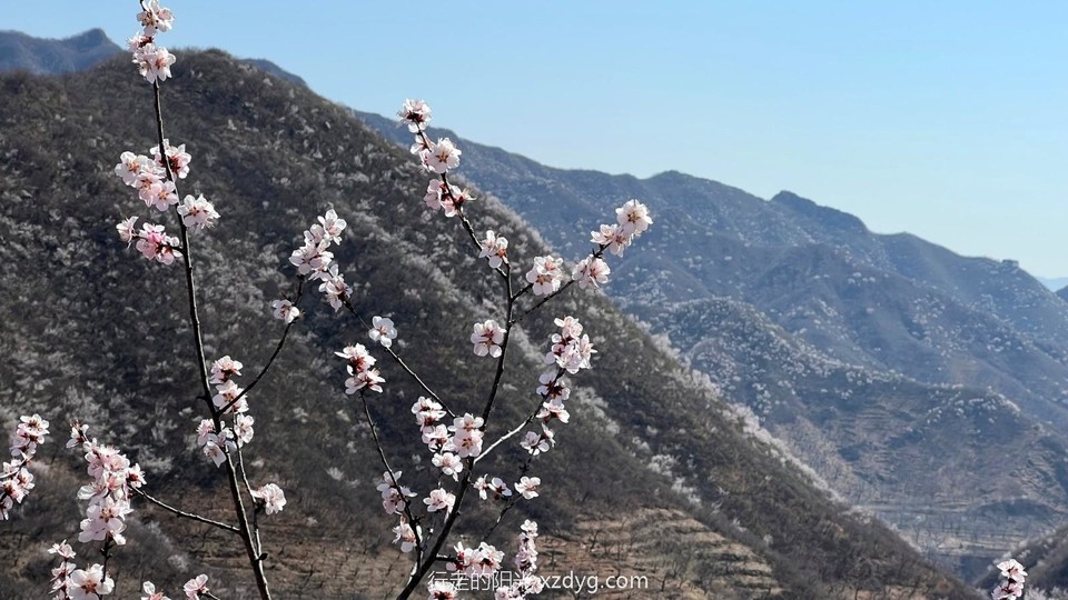 mmexport1649032897985_edit_87695907616305