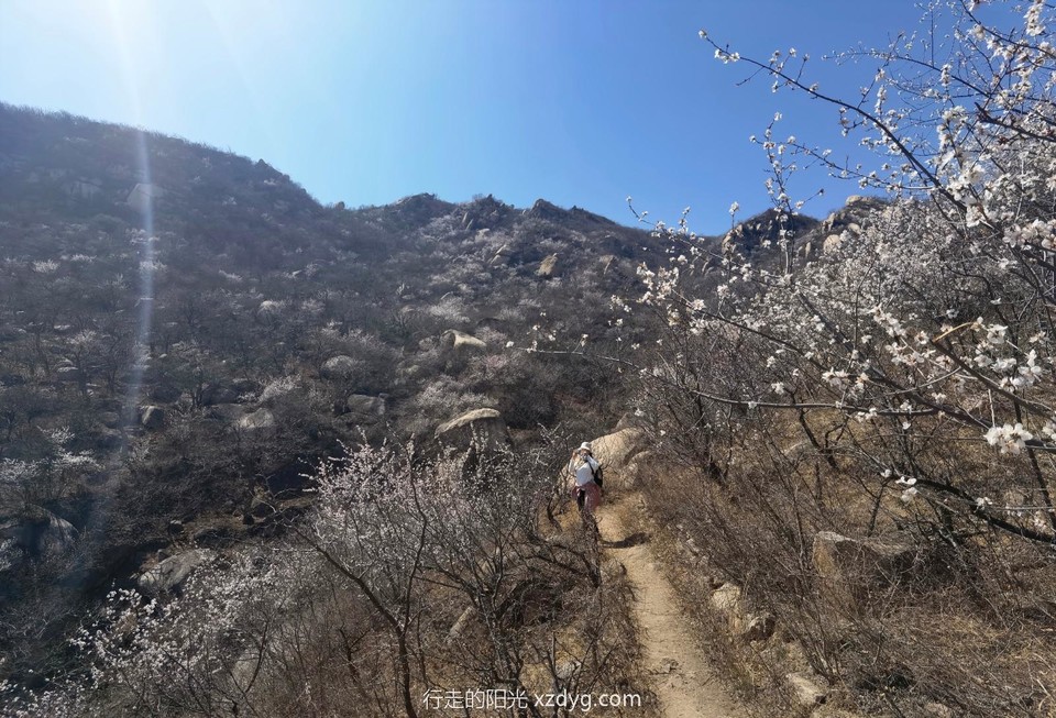 mmexport1649032965813_edit_87688197066827